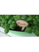 Wooden labels for herbs marking